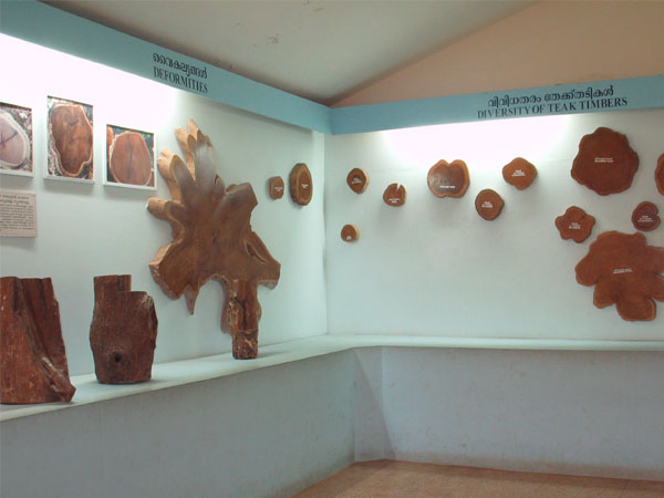 nilambur-teak-museum-6.jpg