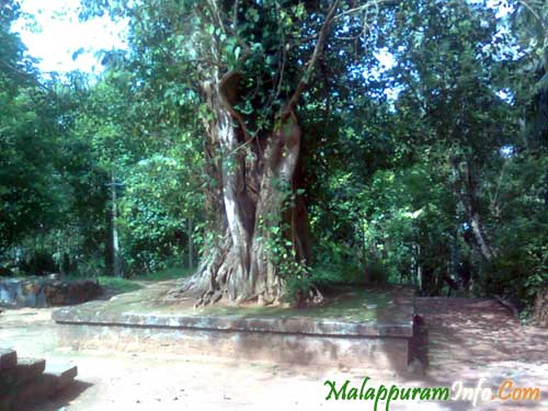 Morayur Temple Almaram